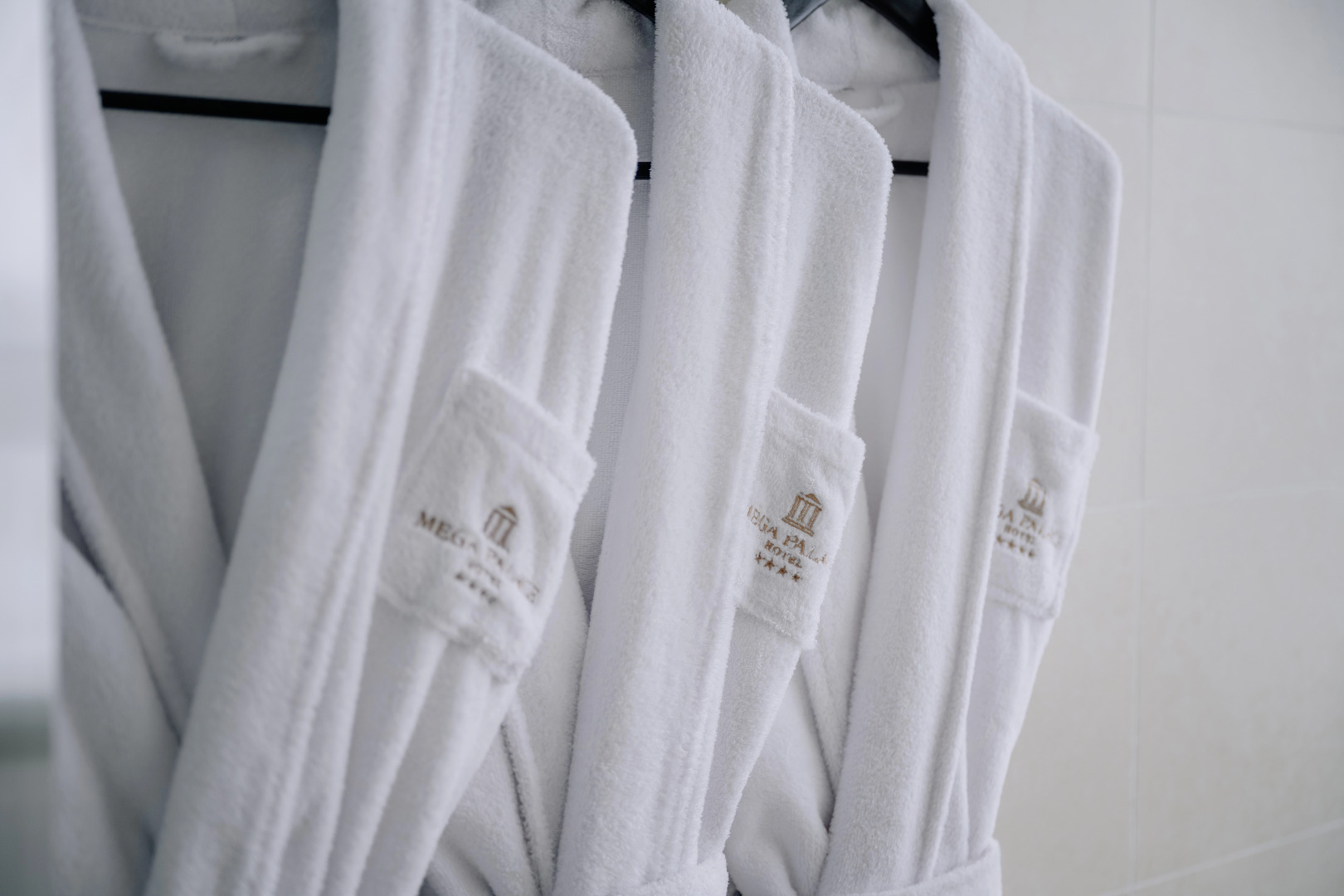 Отель Мега Палас