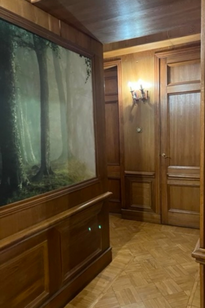 Квартира профессорская на Рубинштейна 9