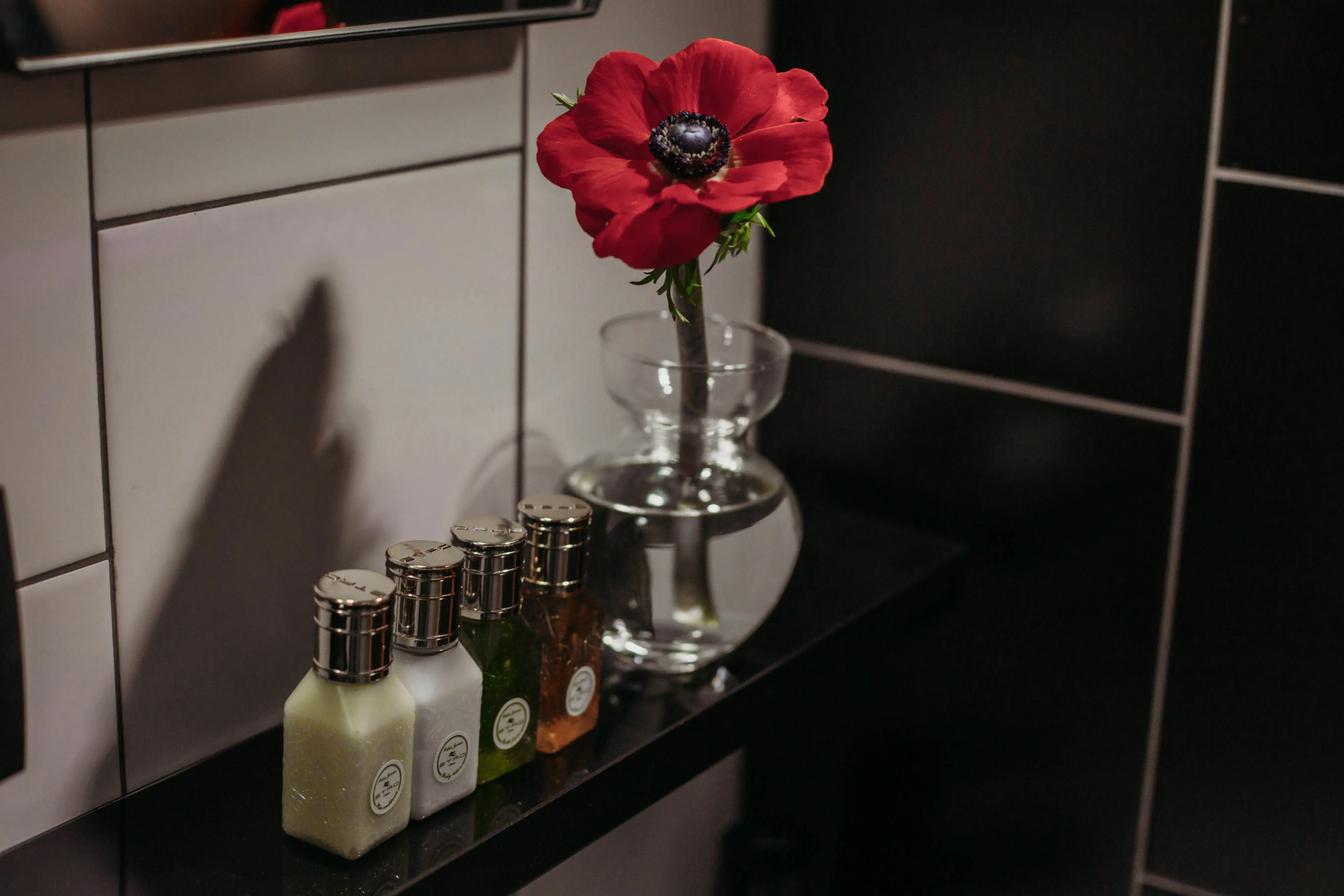 Апартаменты Alpine Urban Garden 5