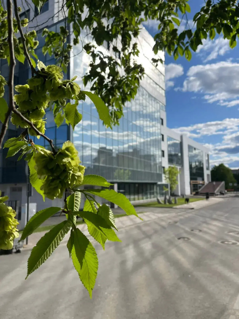 Апартаменты А38 ElokuuTalo(508) в Центре Города