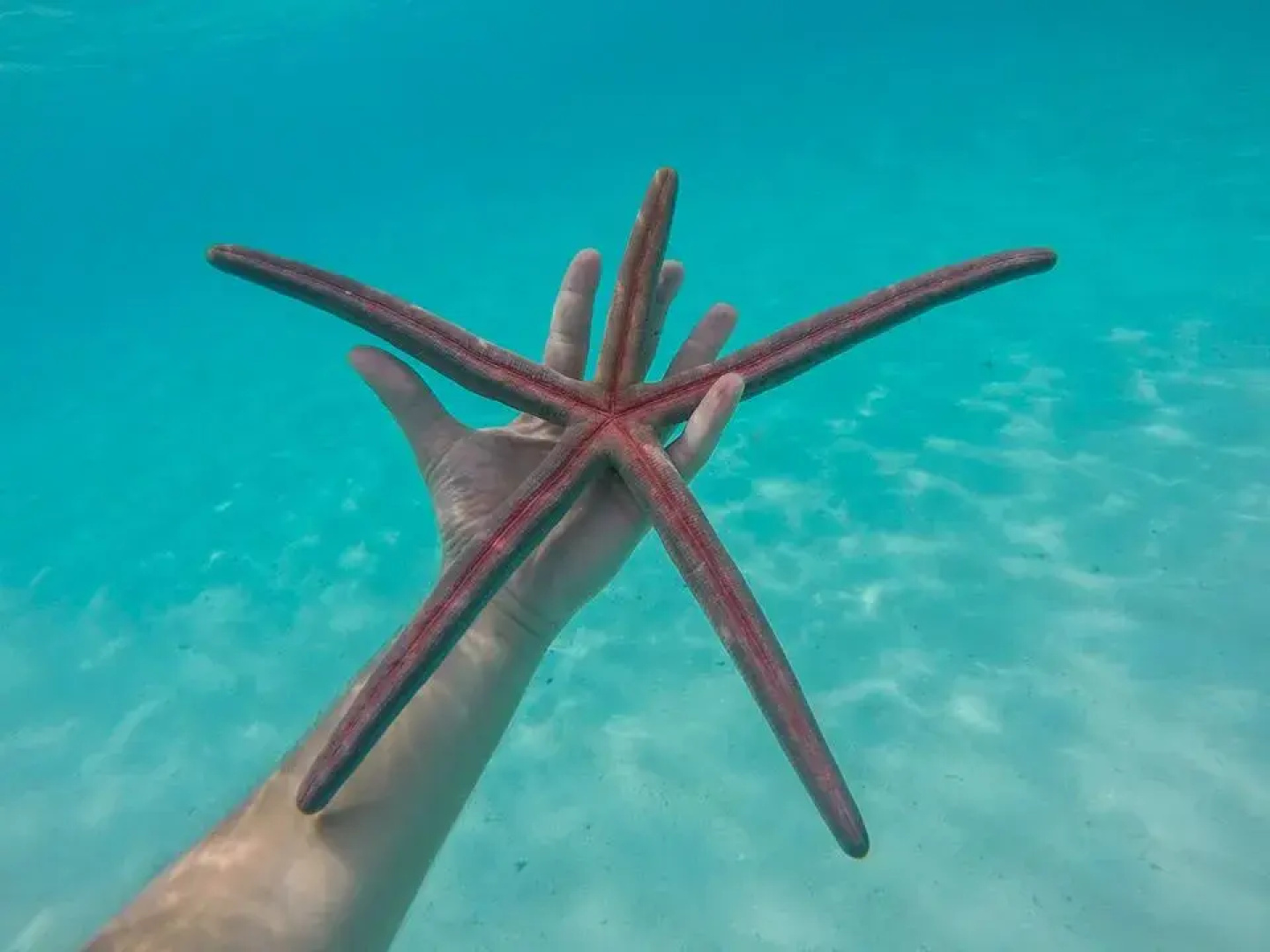 Гостевой Дом Holiday Cottage Maldives