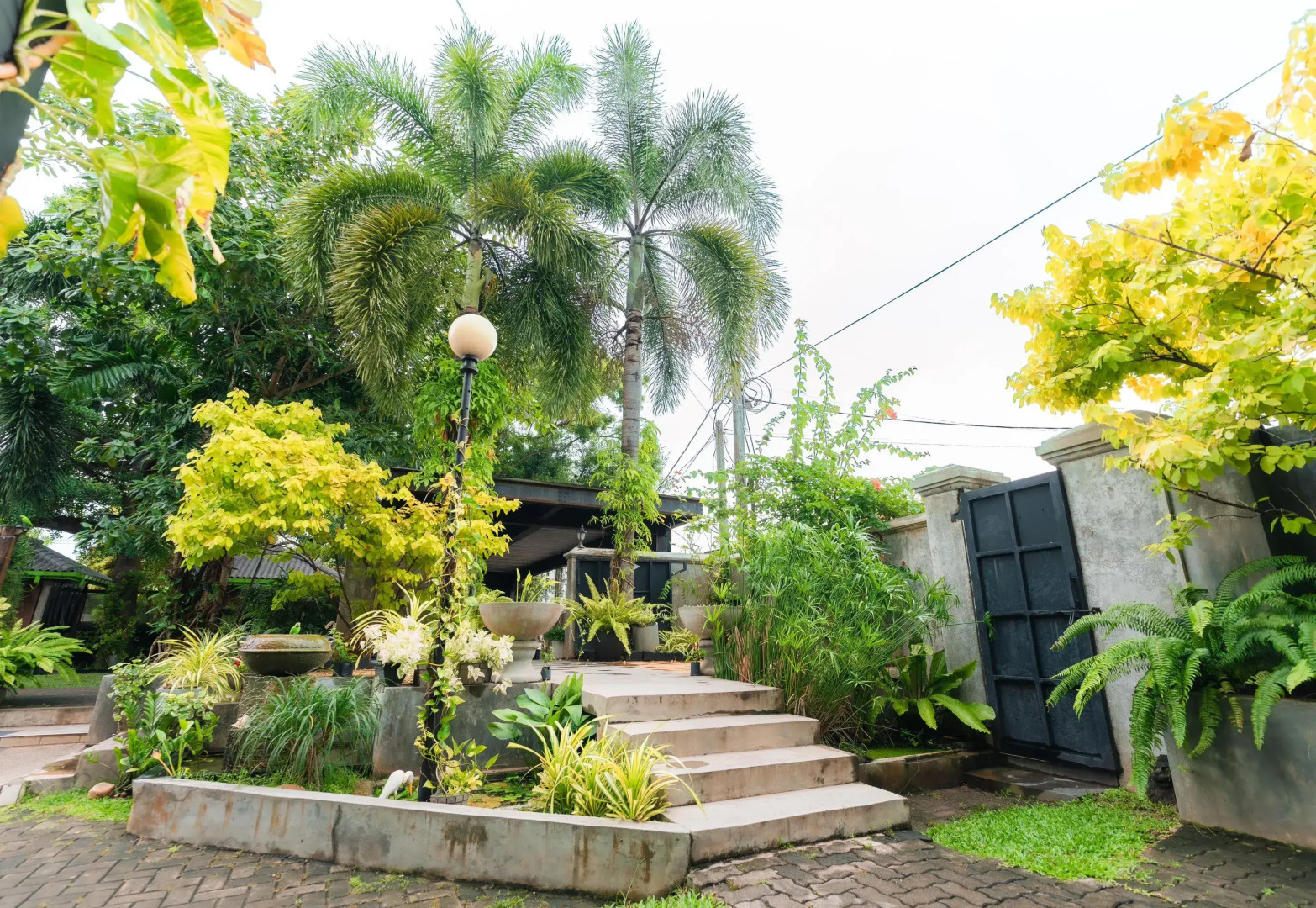 Отель The Panorama