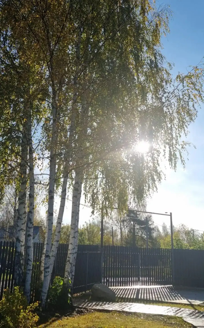 Бунгало Бережок А-фрейм