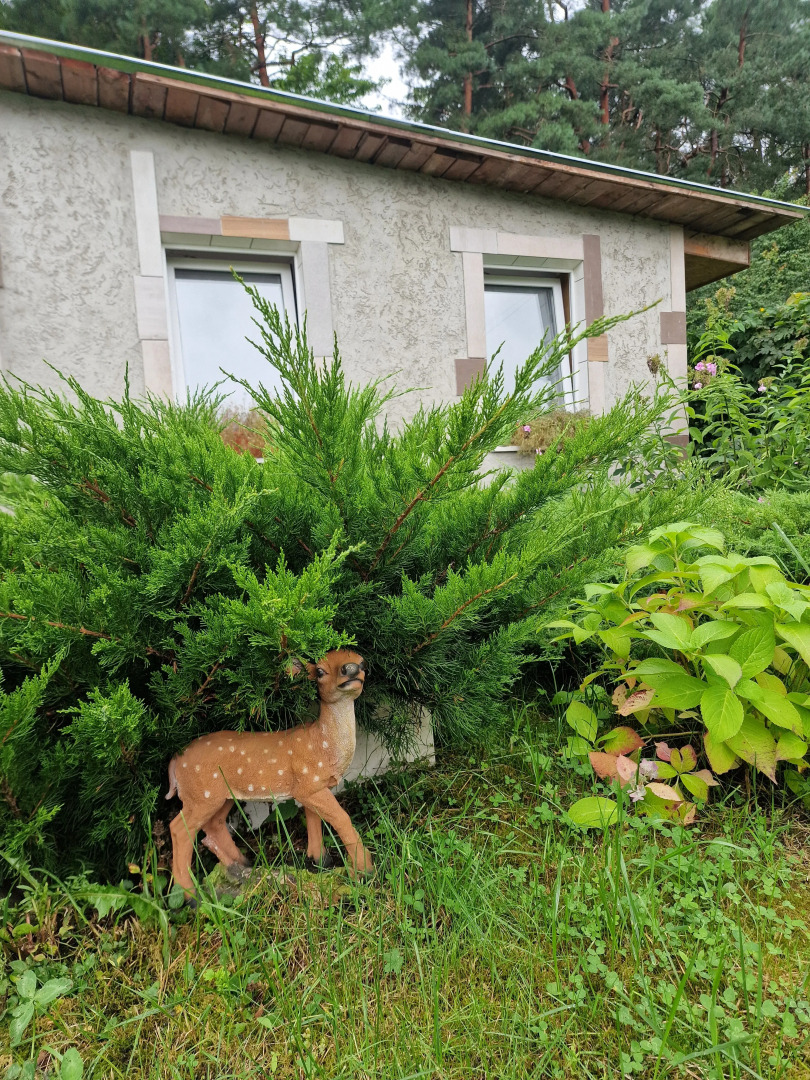 Частный дом Янтарный Бор Уютный Дом