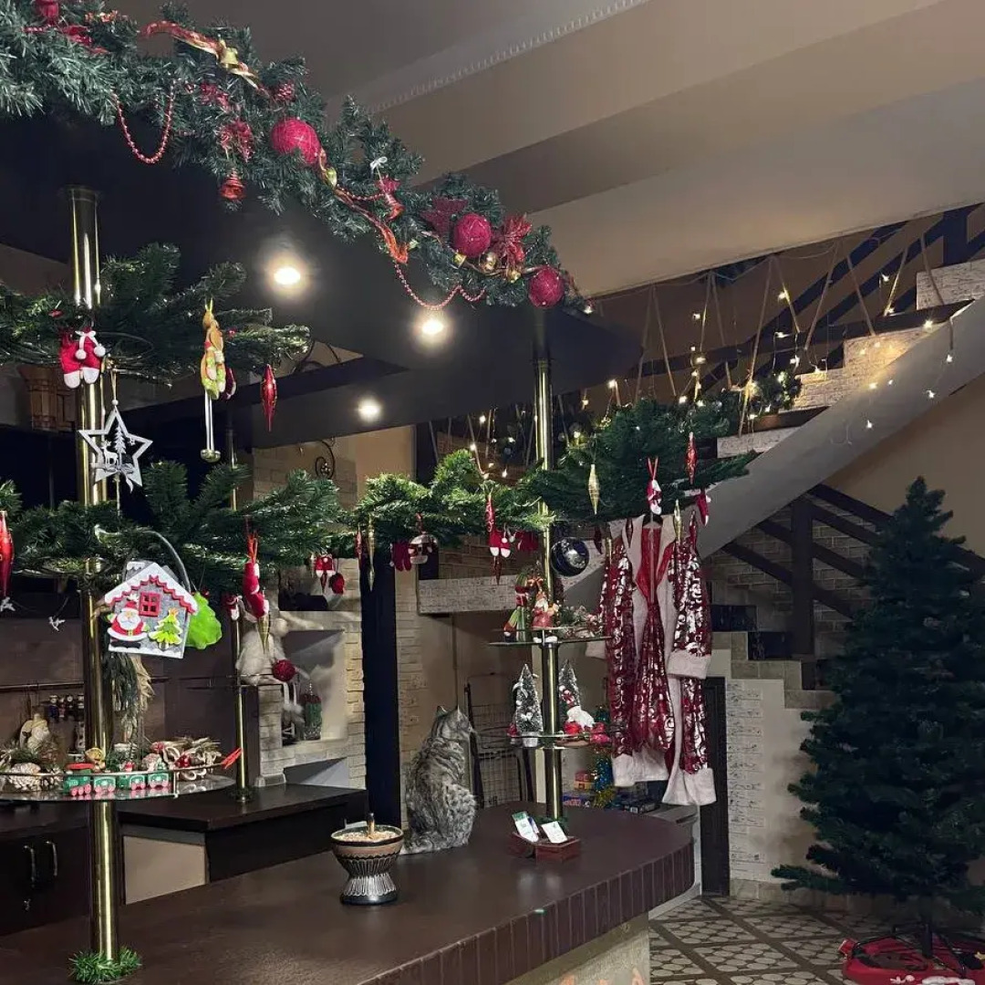 Шале Тихая Прохлада