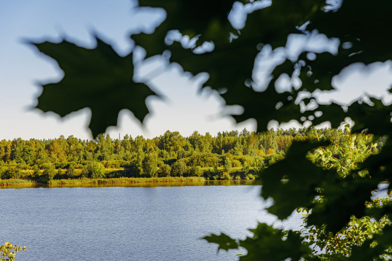 Тверь Парк Отель