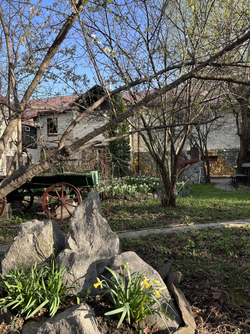 Михайловские Бани