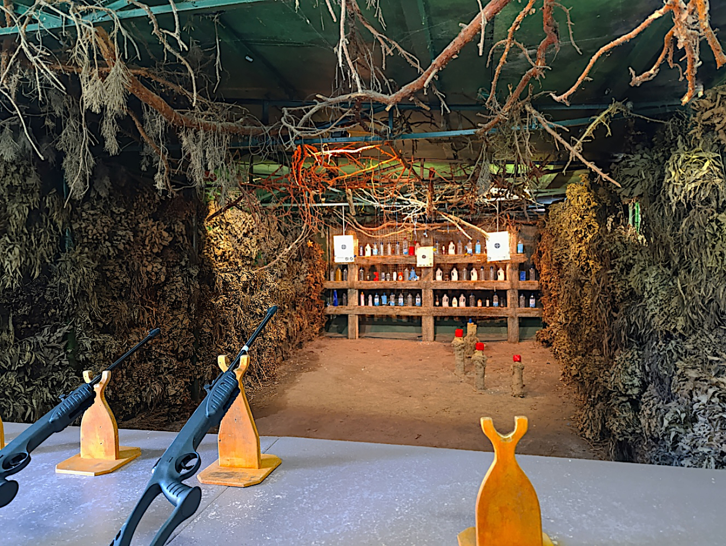 Парк-отель VE art resort