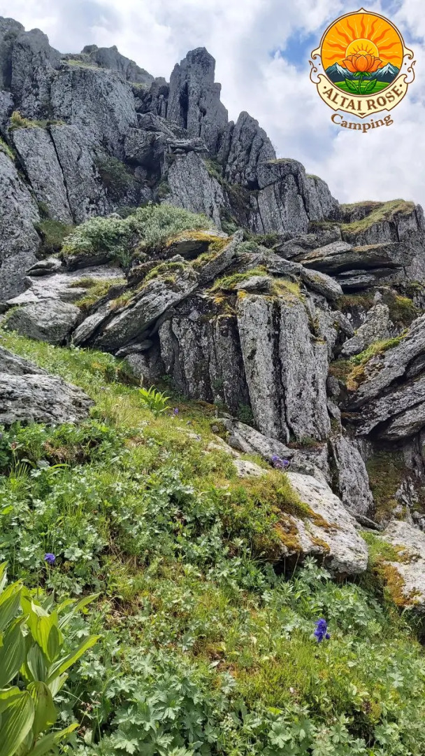 База отдыха Алтайская Роза