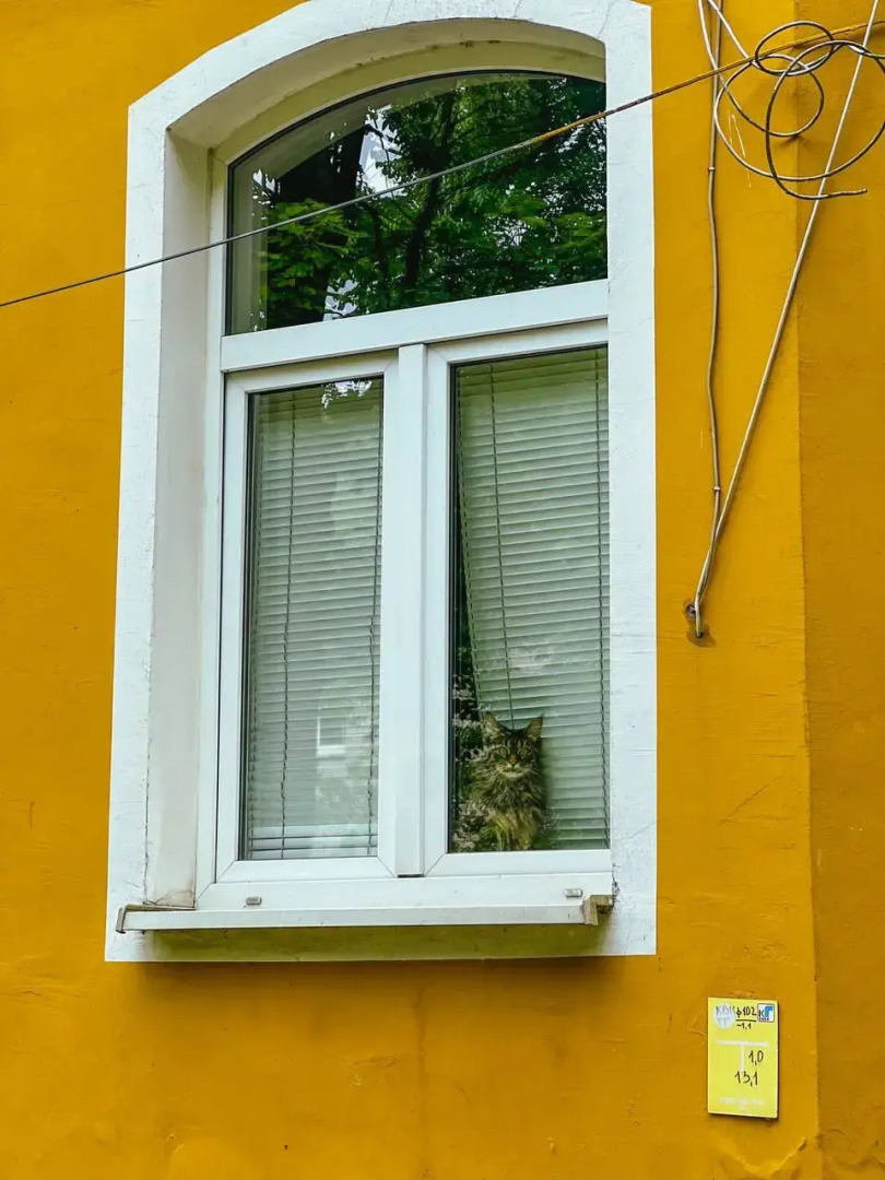 Апартаменты с камином в Амалиенау