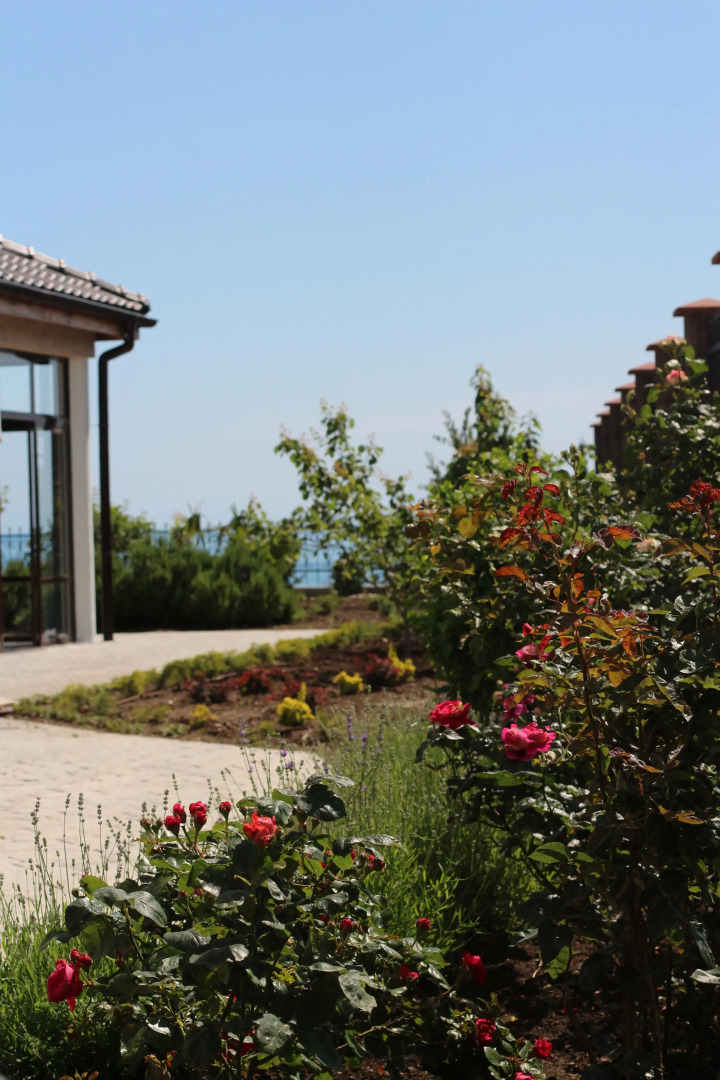 Апартаменты Авокадо