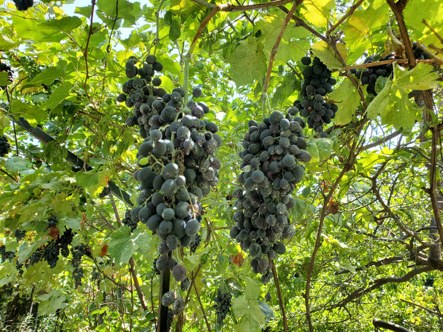 Отель West Tbilisi