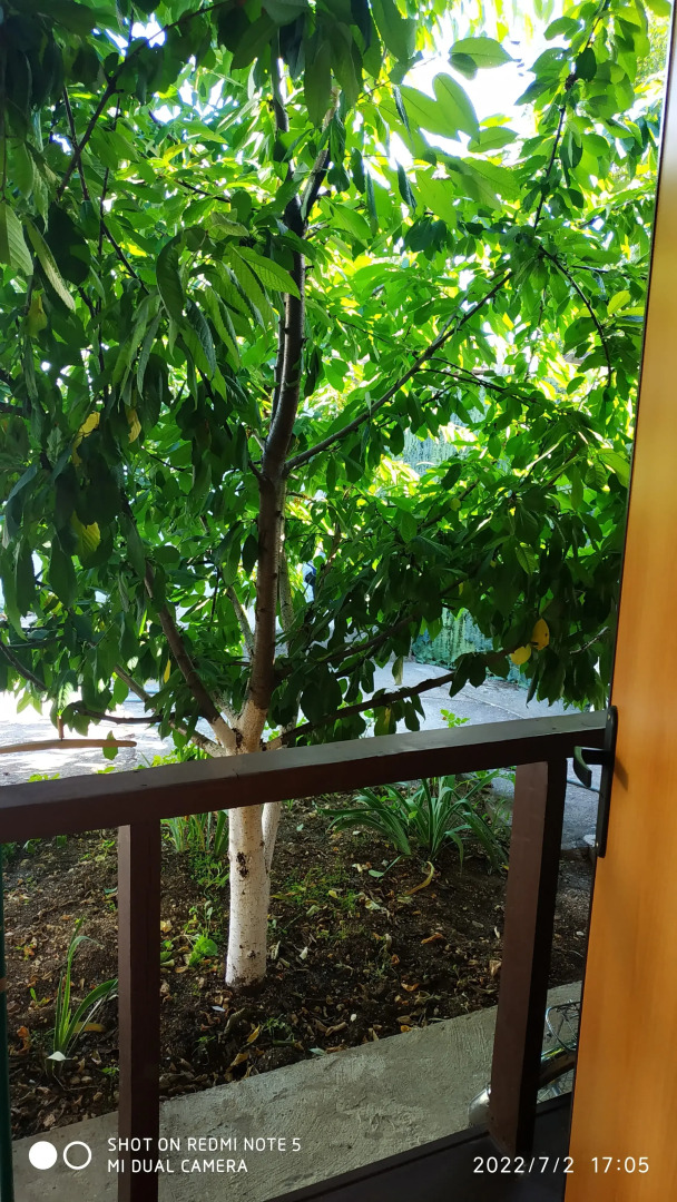 Гостевой дом Наша Дача