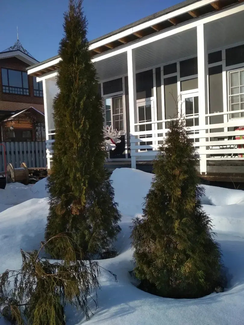 Гостевой Дом Уютный Тихвин