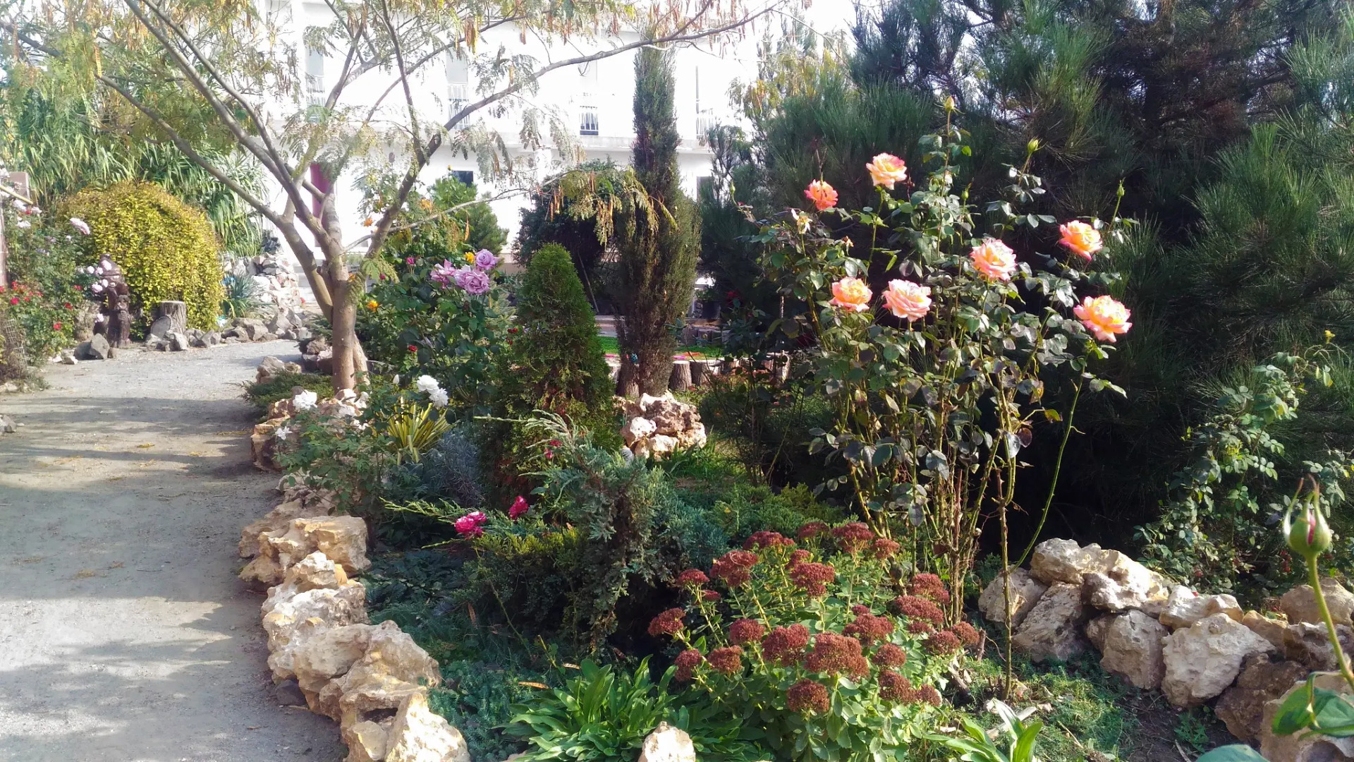 Гостевой Дом Адель Николаевка Крым