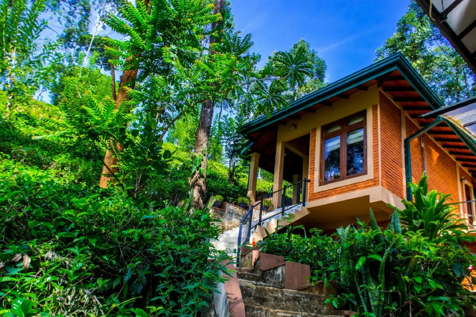 Отель The Tea Cottage Resort & Spa