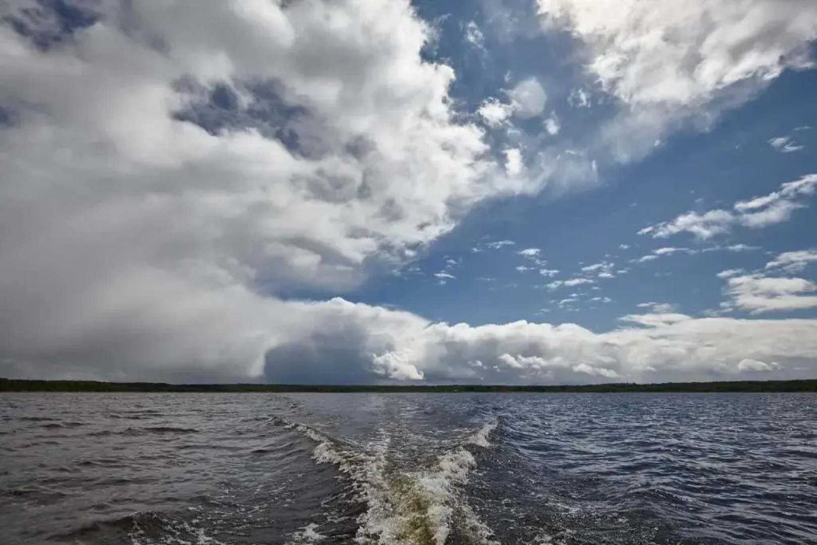 Частный дом Эко Любимка