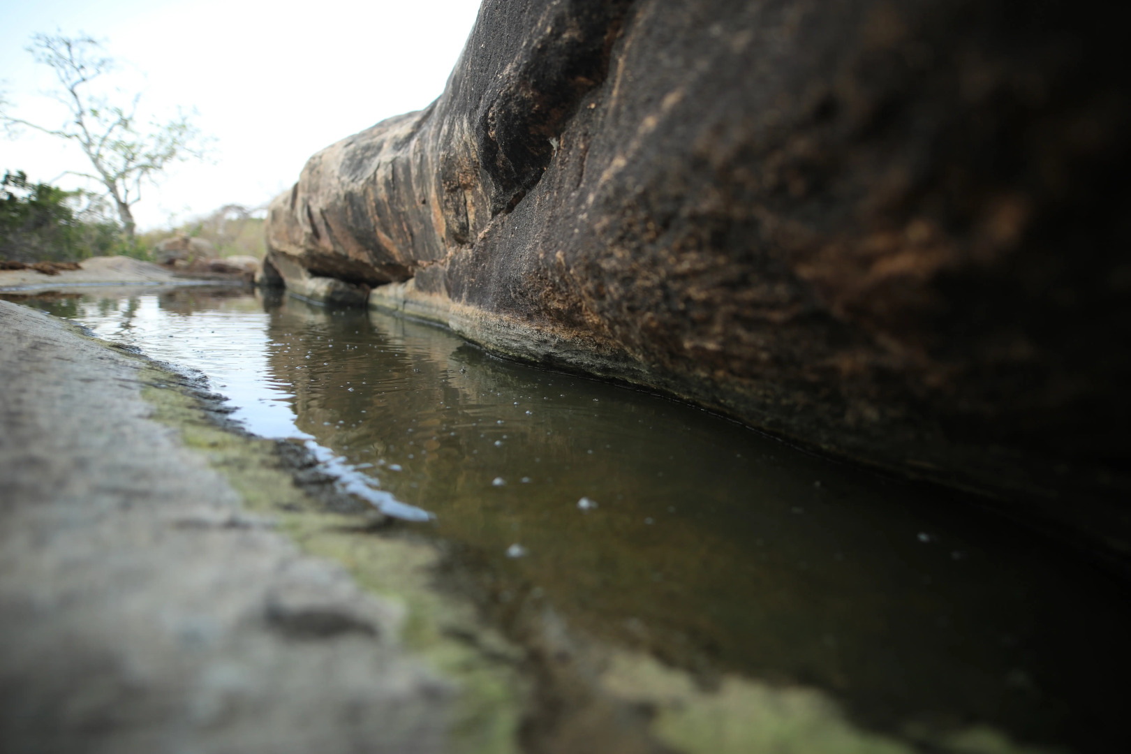 Topan Yala – Luxury Tented Safari