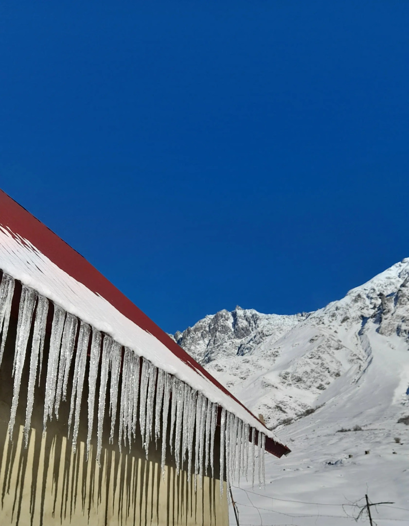 Вилла Mountain Flower cottage