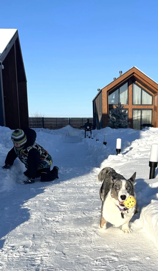 Частный дом Суздаль Villa