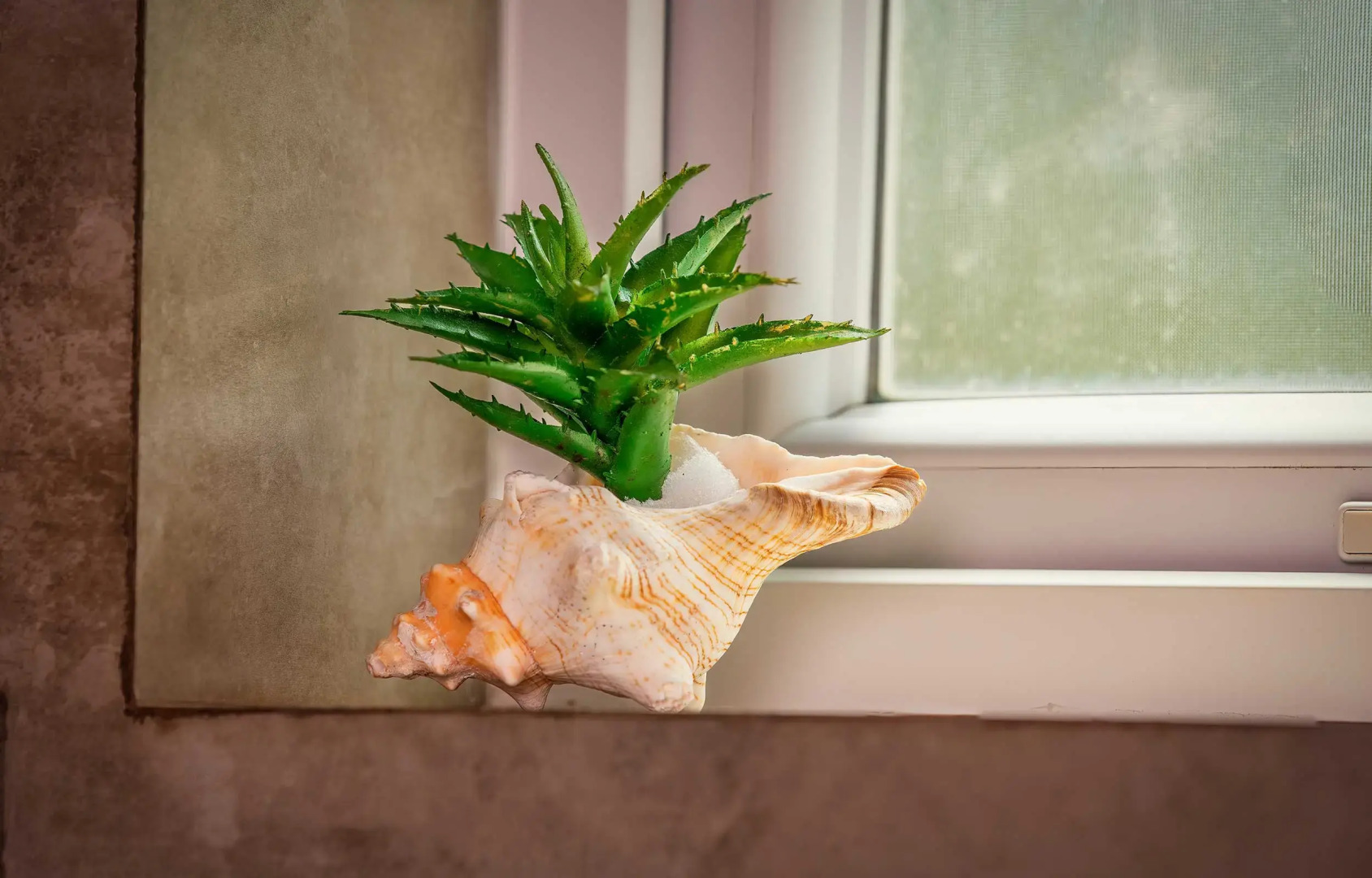 Отель The Palace by Ocean