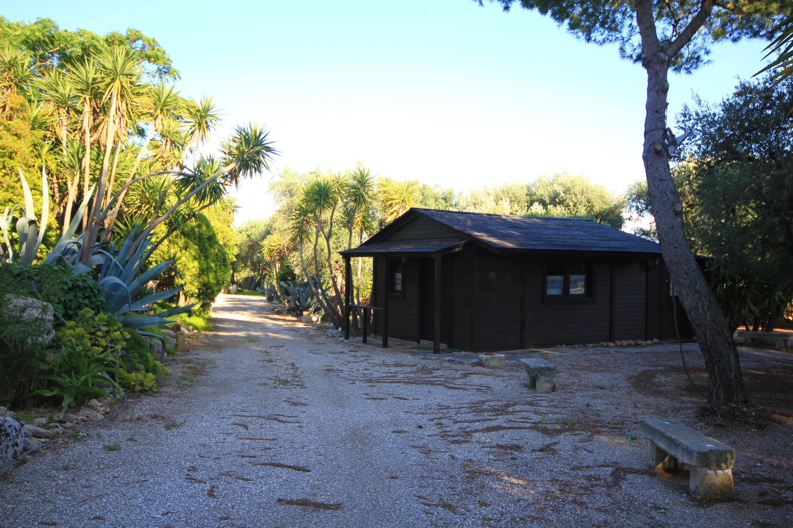 Гостевой дом Villa Diana