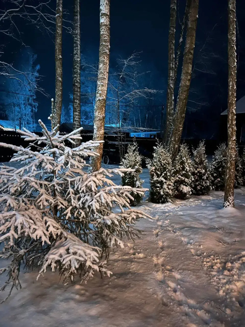 Частный дом Домик в лесу с камином и банным чаном