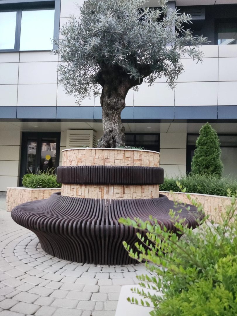 Marisol Sokol Уютная студия в центре