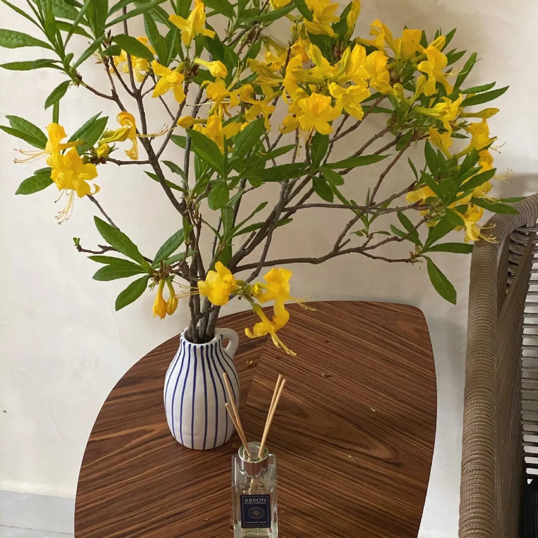 Отель Самшитовая Роща