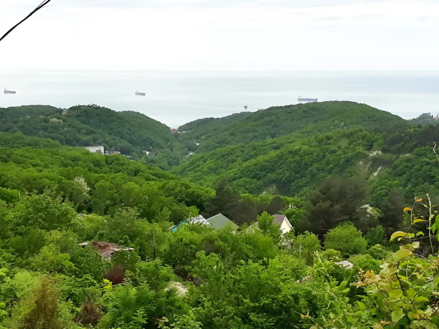 Гостевой дом В Лесу у Моря