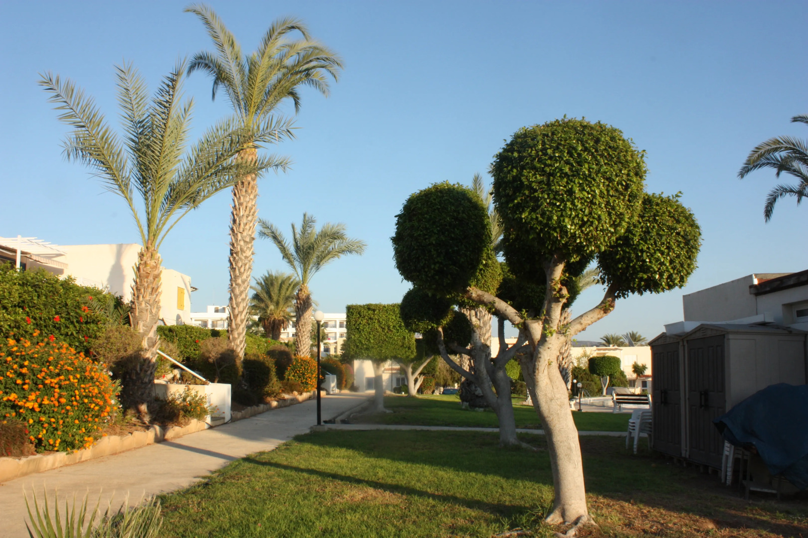 Апартаменты Green Oasis Beach