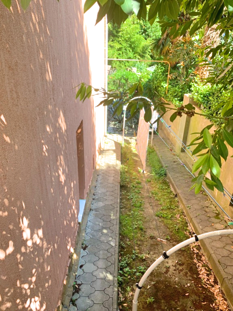 Гостевой дом Бамбуковый Рай