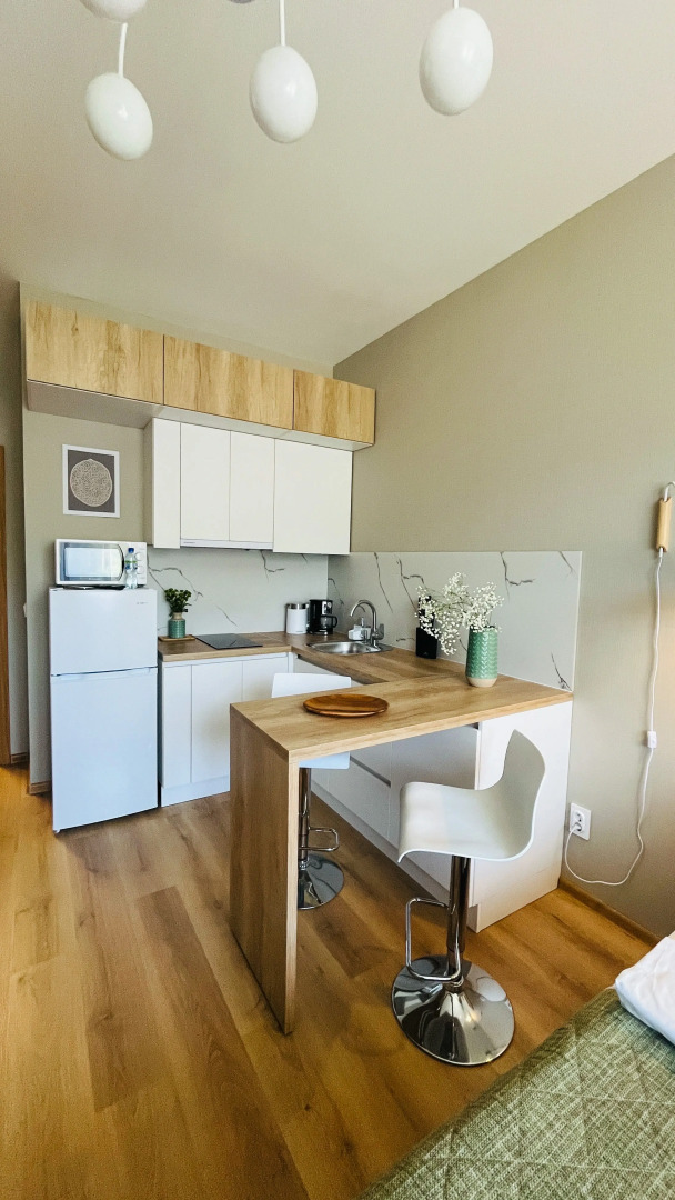 Квартира Уютная Студия в Песочном