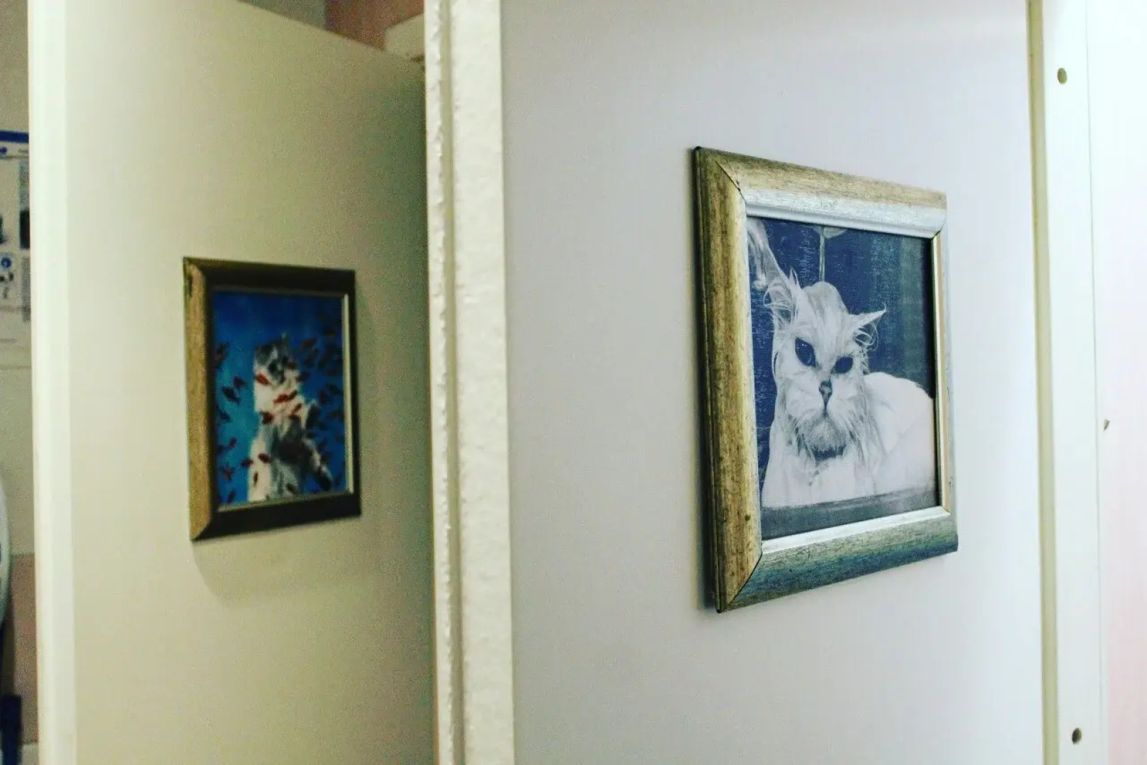 Хостел Кот Матроскинн на Орловском