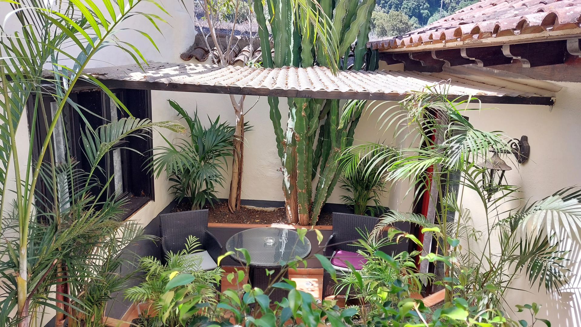 Апартаменты Apartamentos Monasterio de San Antonio Adults Only