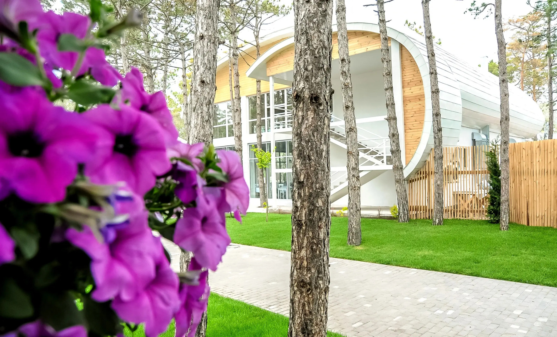 Отель Vital Park