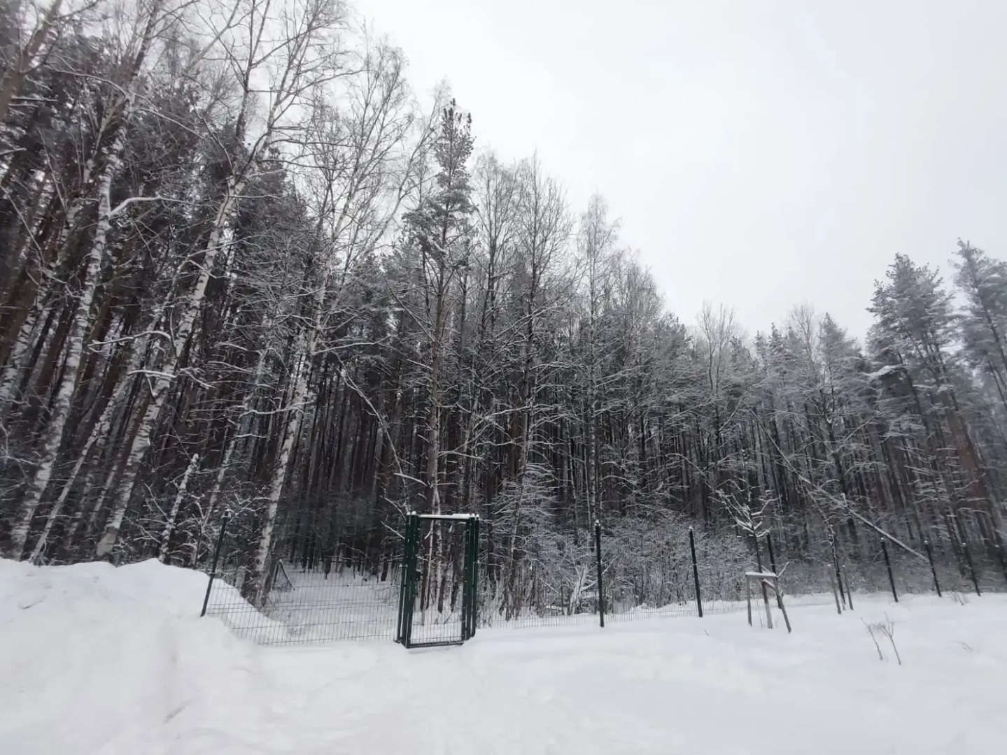 Квартира Лесная сказка