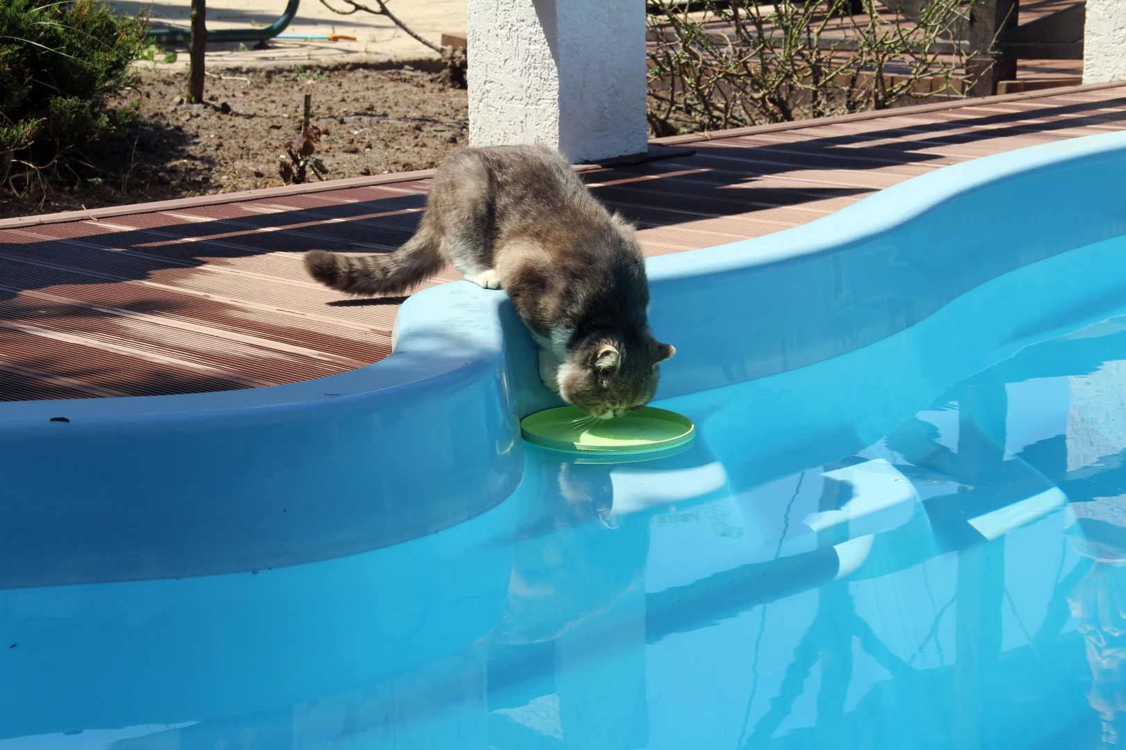 Zhemchuzhina Stepi Guest House