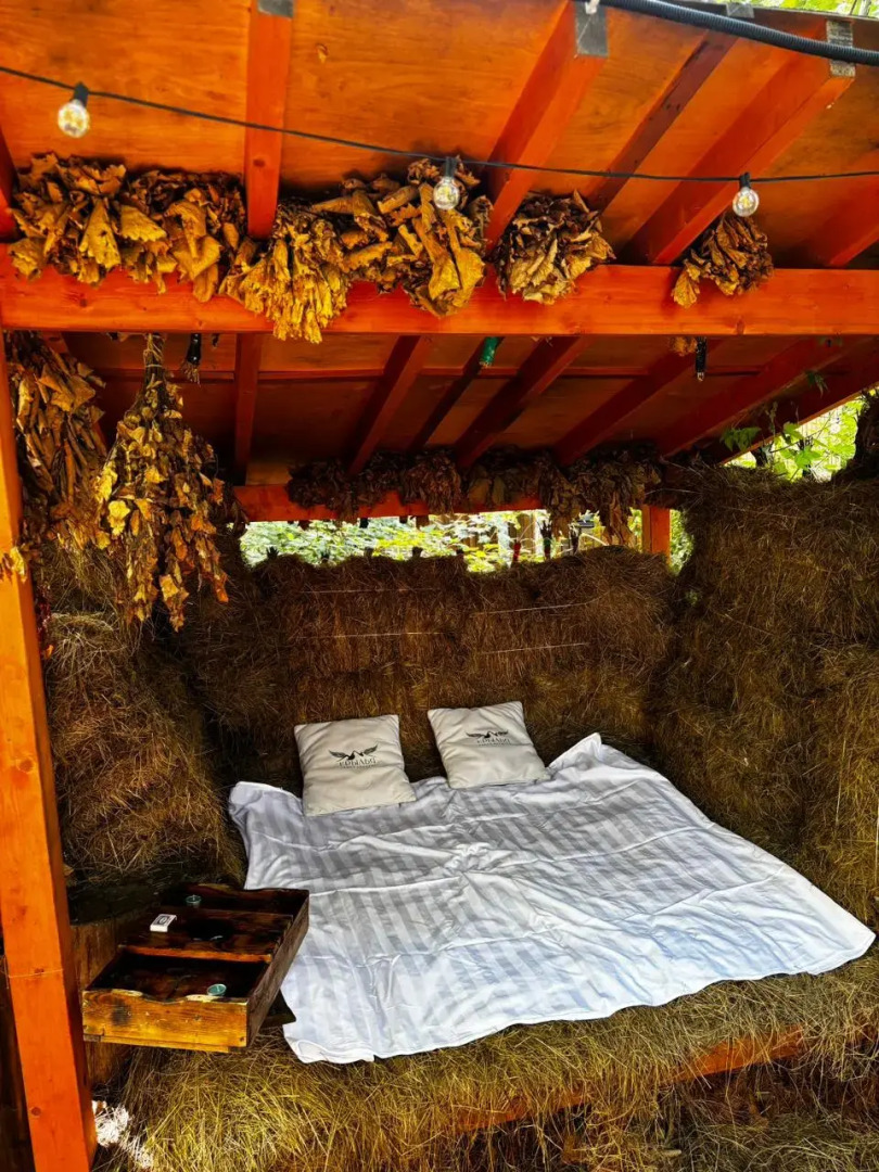 Шале "Крылья Хехцира" - Шале&СПА в лесу