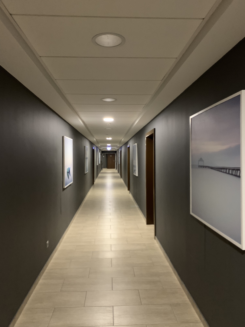 Апартаменты частные в Завидово