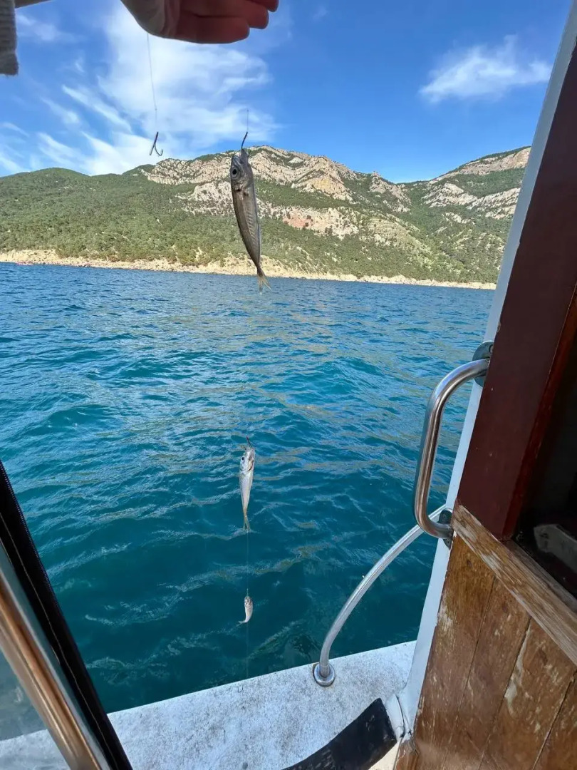 Апартаменты 2 на мысе Фиолент