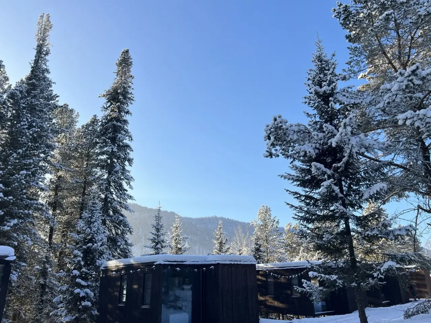 База отдыха Телецкое Золотое