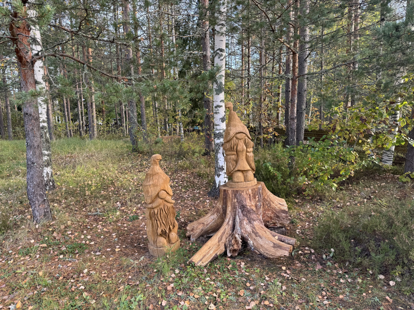 Частный дом Ретро-дача в Карельской деревне