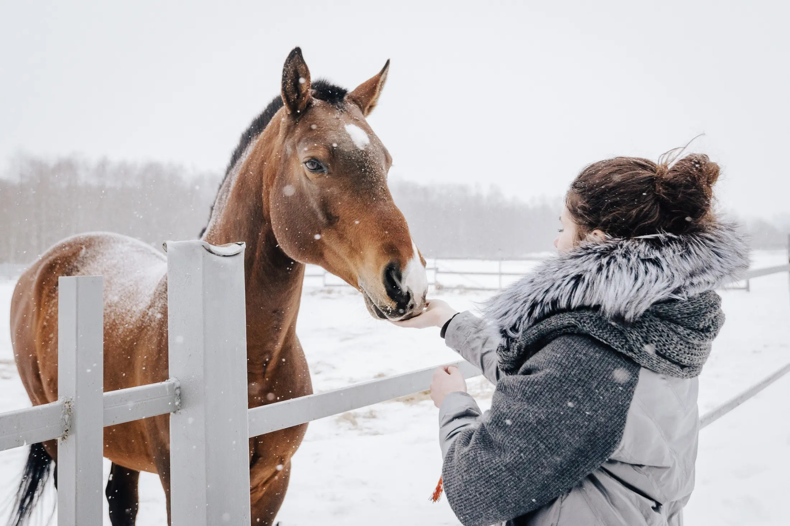 База отдыха Агротуристический комплекс Эль Ранчо