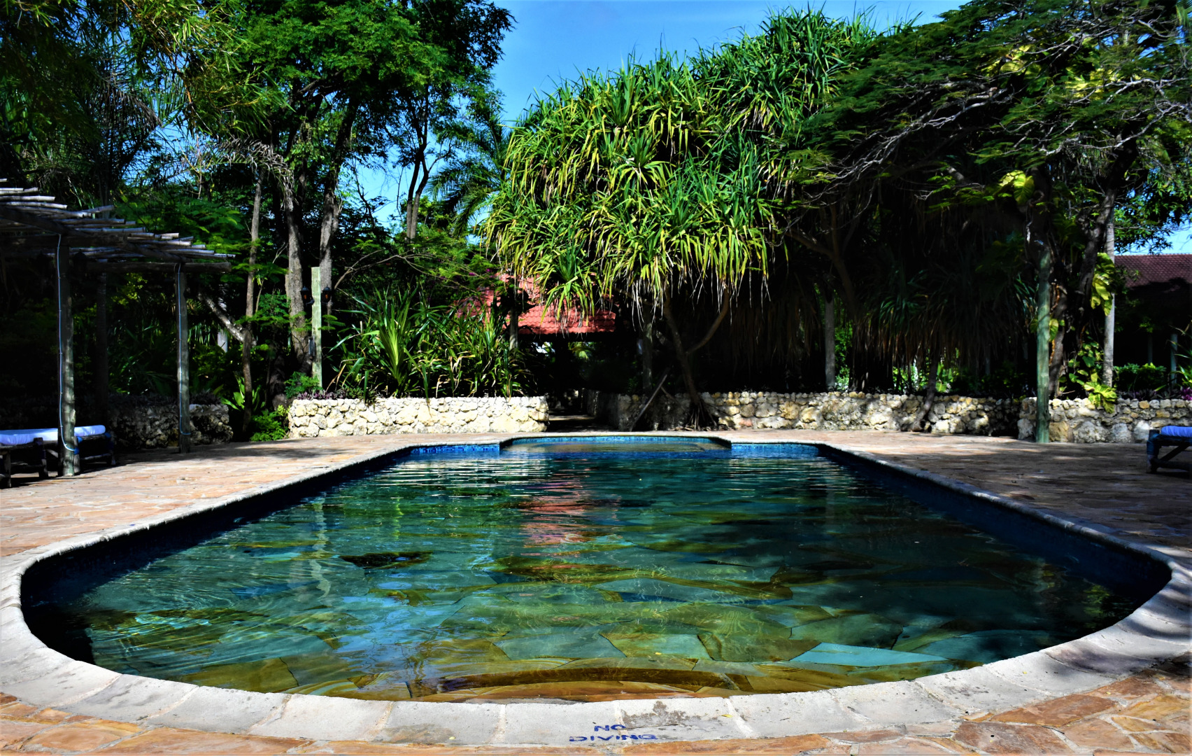 Отель Mediterraneo