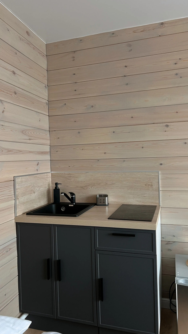 Меблированные комнаты на Обручева