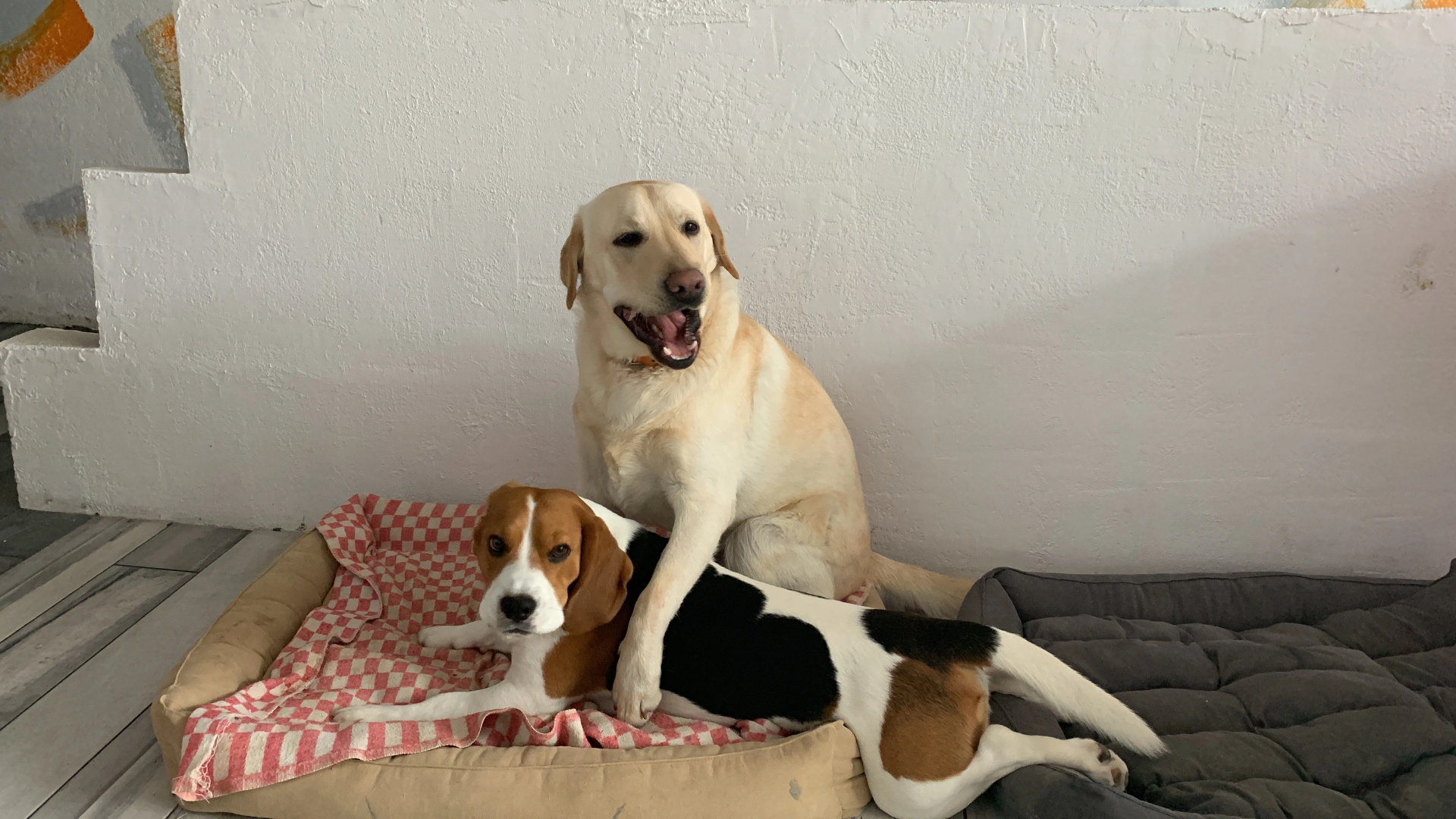 Гостевой дом Пинтуш