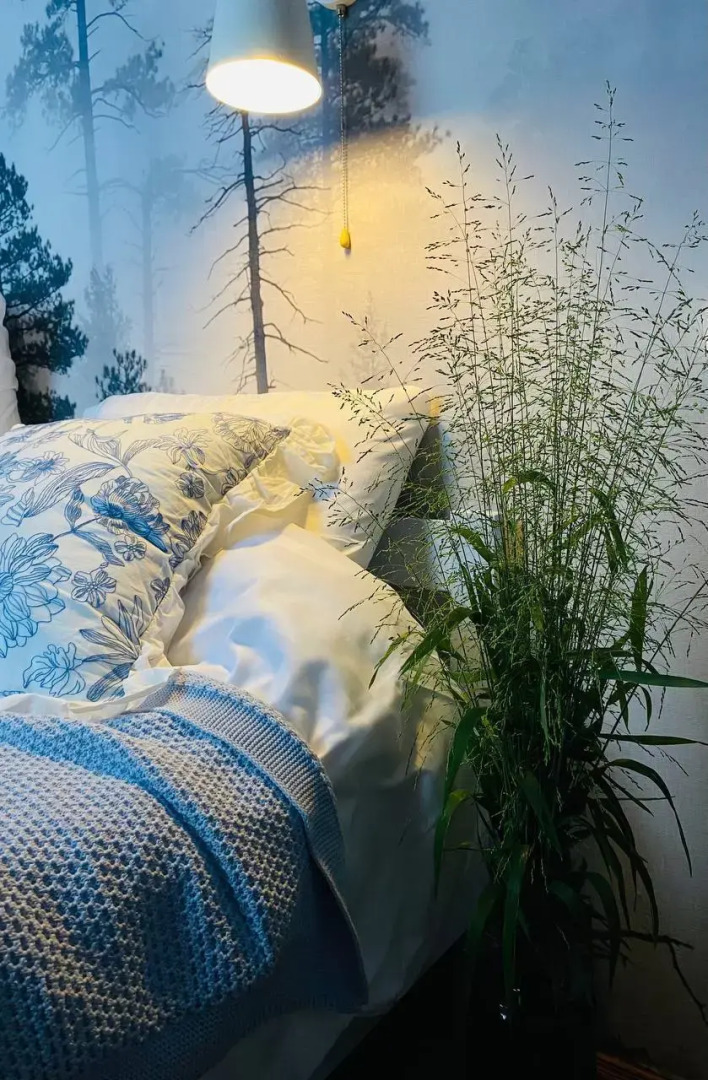 Частный дом Дом с Ковром