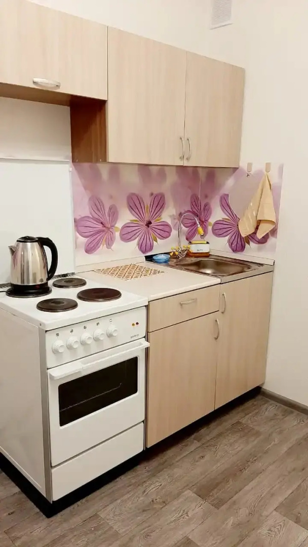 Квартира Однокомнатная на Блюхера 123Д