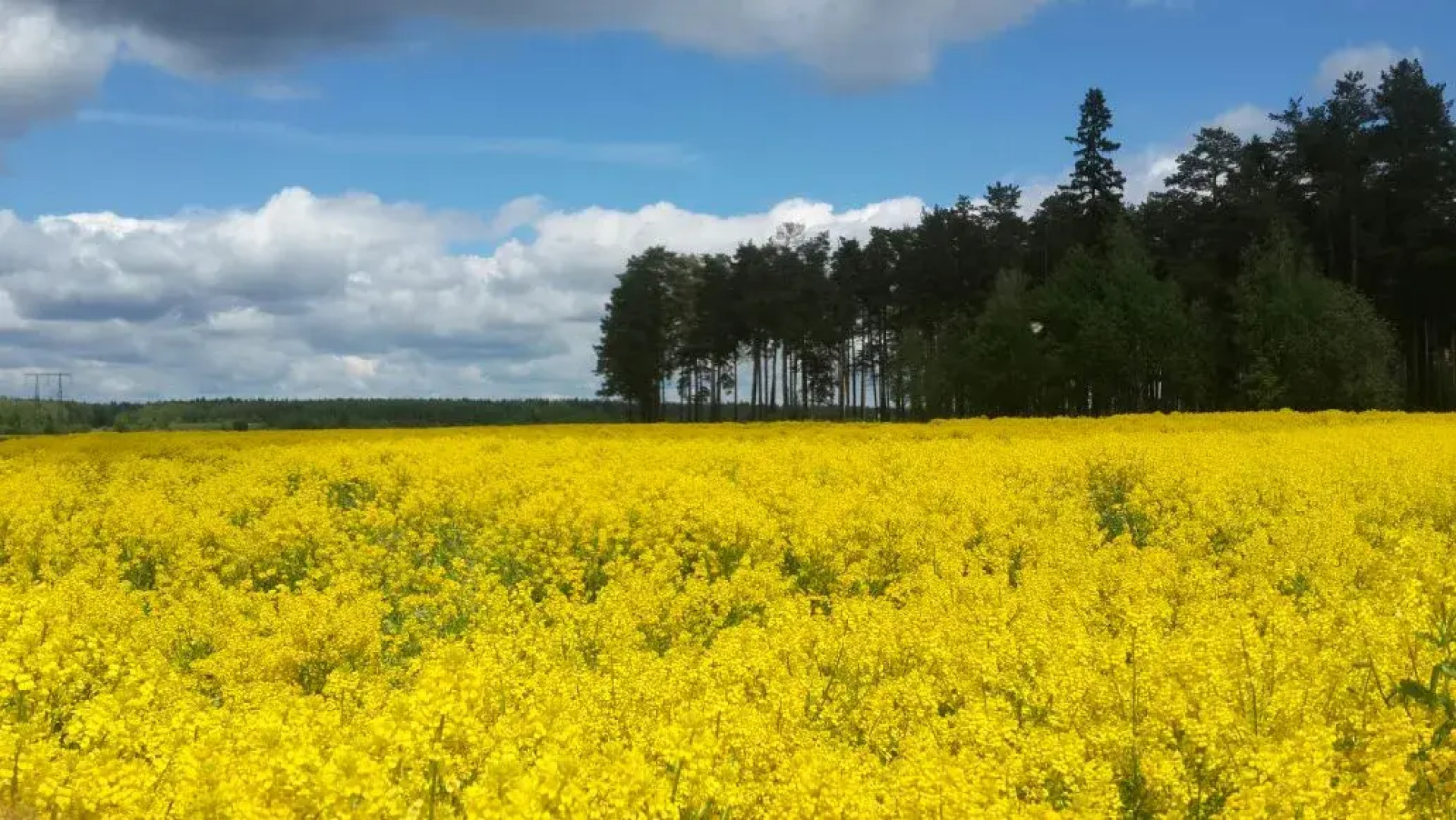 Гостевой Дом Вилла у Воды